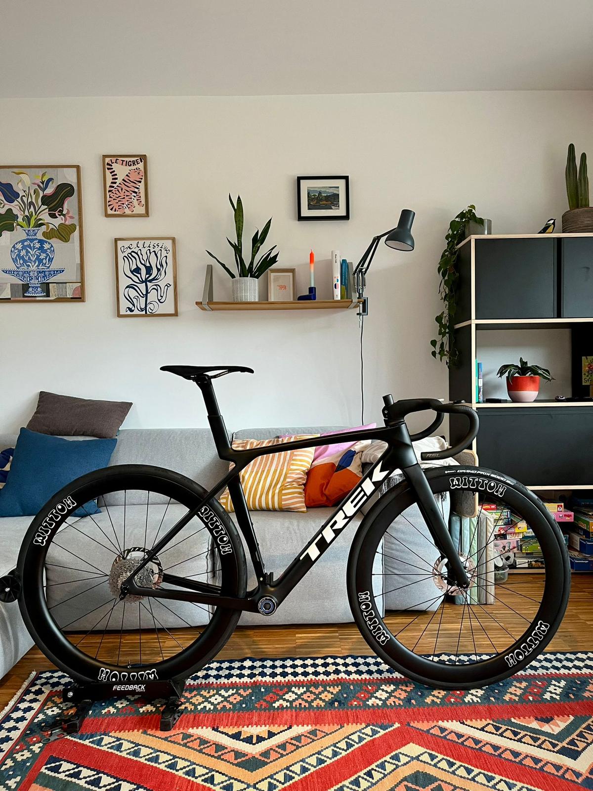 Carbon Laufradsatz 50mm TLR Nahaufnahme - tubeless ready System